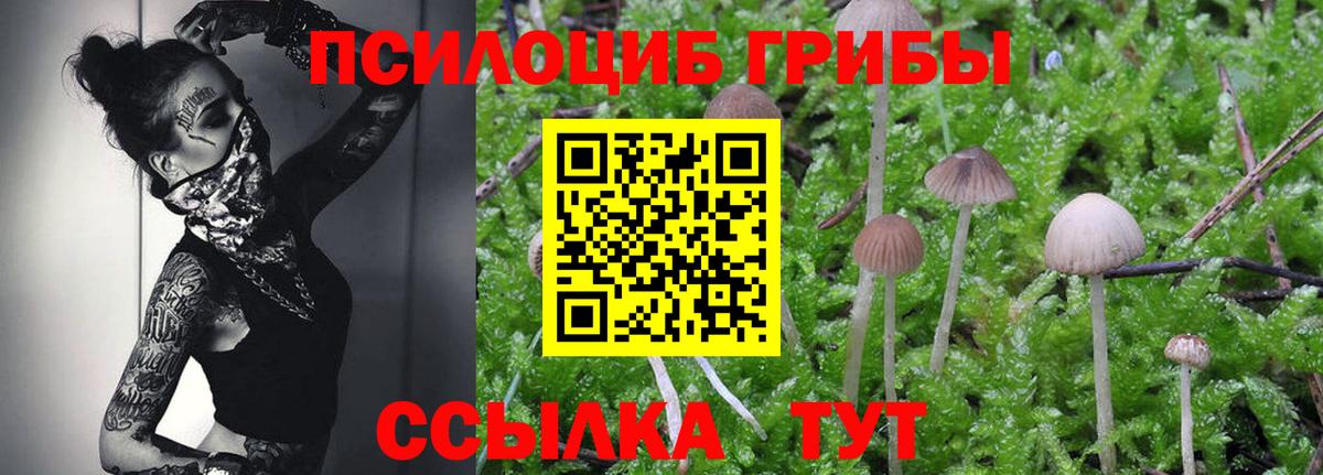 Галлюциногенные грибы GOLDEN TEACHER Северск