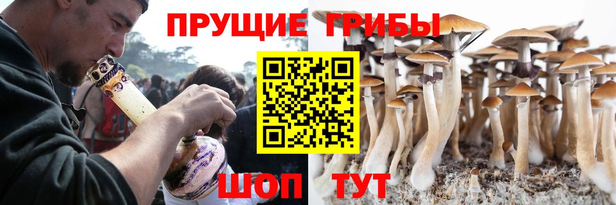 Северск  Псилоцибиновые грибы мухоморы  Вход с VPN 